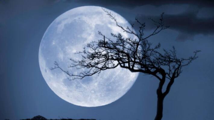 Know about the Kartick Purnima Tithi Horoscope Know about the Kartick Purnima Tithi Horoscope