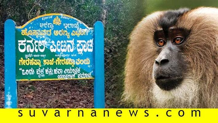 top 6 places to visit in gerusoppa jogfalls top 6 places to visit in gerusoppa jogfalls