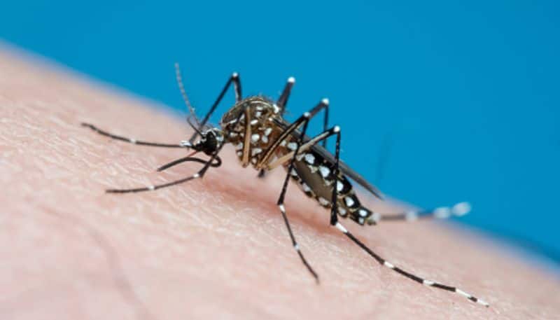 2 children died due to dengue fever