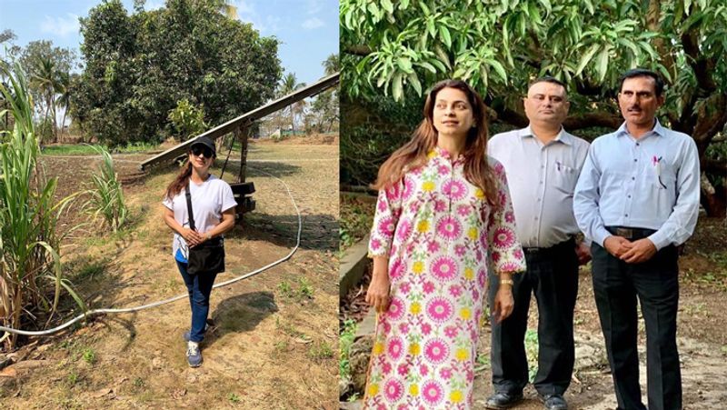 Juhi Chawla Birthday Doing Farming In Farmhouse