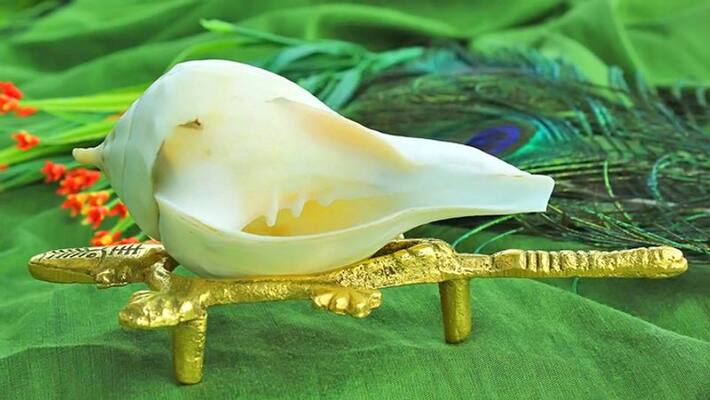 Aghan month from November 13, every wish can be fulfilled by worshiping conch in this month Aghan month from November 13, every wish can be fulfilled by worshiping conch in this month