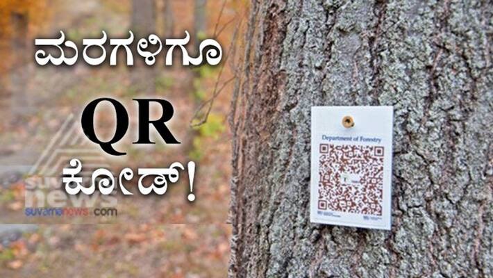 Digital Mode of Learning Trees At Vijayawada College Get QR Codes Digital Mode of Learning Trees At Vijayawada College Get QR Codes