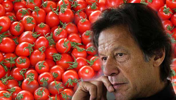 Tomatoes selling at Rs 300 per kg in Pakistan country seeks help from Iran Tomatoes selling at Rs 300 per kg in Pakistan country seeks help from Iran