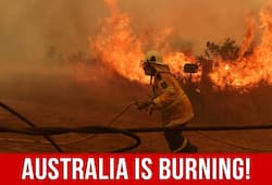 Australia is burning and the human race is responsible
