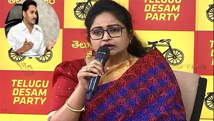 tdp leader divyavani fires on cm ys jagan tdp leader divyavani fires on cm ys jagan