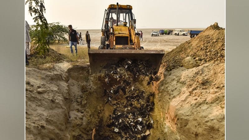 Sensational case of death of migratory birds in Sambhar lake of Jaipur