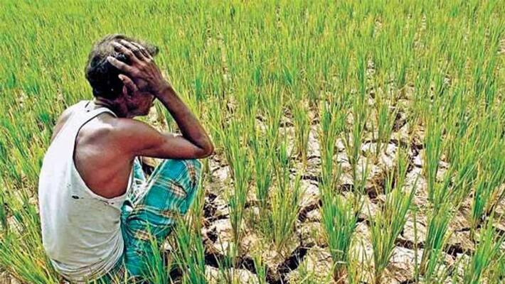 NIAS study report to prevent farmers suicide NIAS study report to prevent farmers suicide