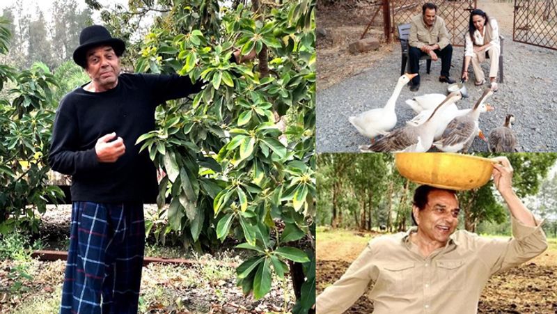 Dharmendra luxurious Farmhouse in lonavala inside photos
