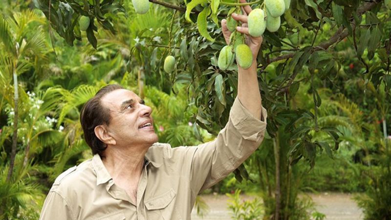 Dharmendra luxurious Farmhouse in lonavala inside photos