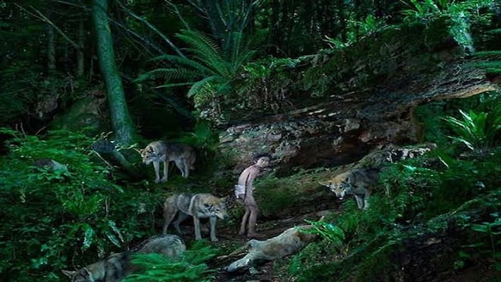 When children became 'like animals', someone started barking, some started eating raw meat When children became 'like animals', someone started barking, some started eating raw meat