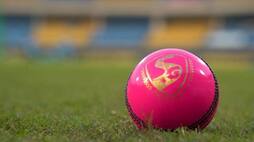 India-Bangladesh day/night Test SG company reveals details pink ball making