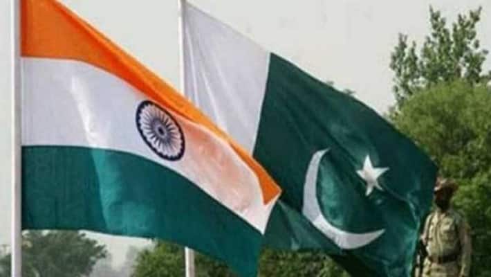 Fight against Locust invasion, India to join Pakistan, Iran and Afghanistan Fight against Locust invasion, India to join Pakistan, Iran and Afghanistan