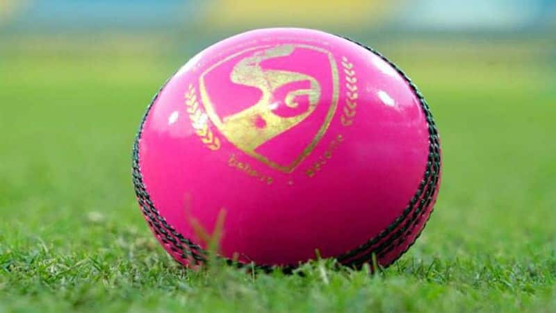 From pink ball to rank-turner: Story behind India's quickest Test win-ayh
