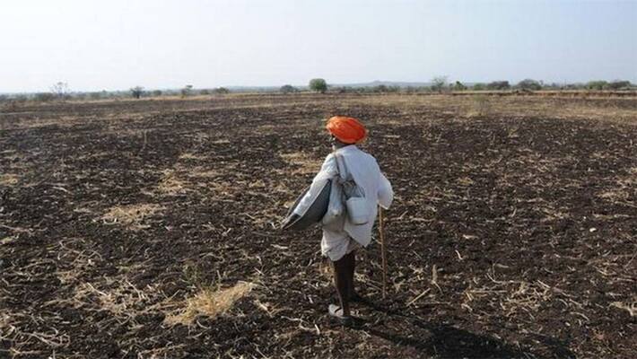 Farmer commits suicide, body hanging from tree for 6 days Farmer commits suicide, body hanging from tree for 6 days