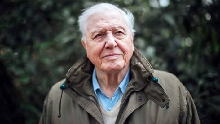 British naturalist David Attenborough to be awarded 2019 Indira Gandhi Peace Prize British naturalist David Attenborough to be awarded 2019 Indira Gandhi Peace Prize