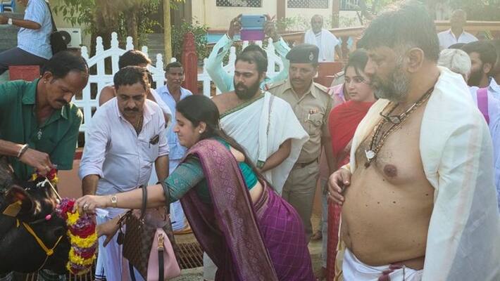 dk shivakumar gives cow to Sringeri temple dk shivakumar gives cow to Sringeri temple