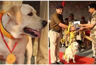 CISF bids brave dogs grand farewell on retirement
