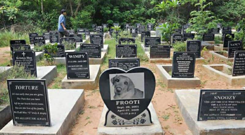 Secular cemetery for Pets in Bengaluru