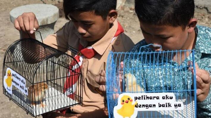 to reduce mobile phone use an indonesian city provide chicks to students to reduce mobile phone use an indonesian city provide chicks to students