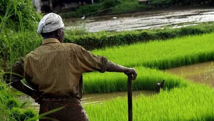 Shivamogga District Co operative Society Director Announced Farm Loan Waiver Shivamogga District Co operative Society Director Announced Farm Loan Waiver