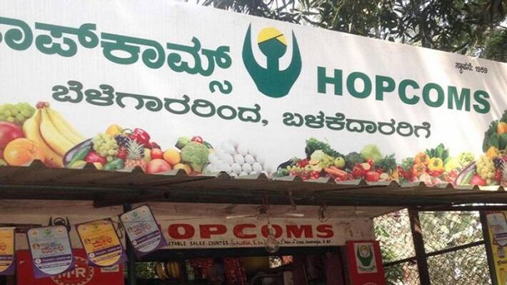 Lockdown Brings Good Days For Hopcoms in Shivamogga Lockdown Brings Good Days For Hopcoms in Shivamogga