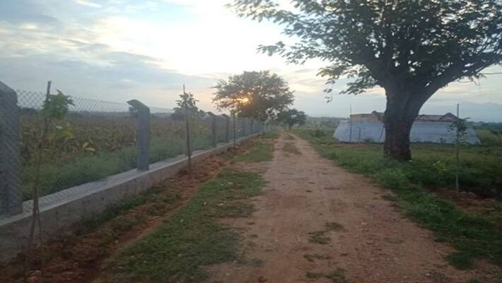State Largest Eco Park Build in Huvinahadagali in Ballari District State Largest Eco Park Build in Huvinahadagali in Ballari District