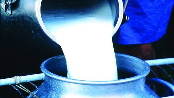 milk price rise in tumakur makes farmers happy milk price rise in tumakur makes farmers happy