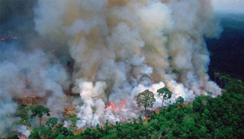 whether titanic hero is the culprit for firing amazon forest says brasil president