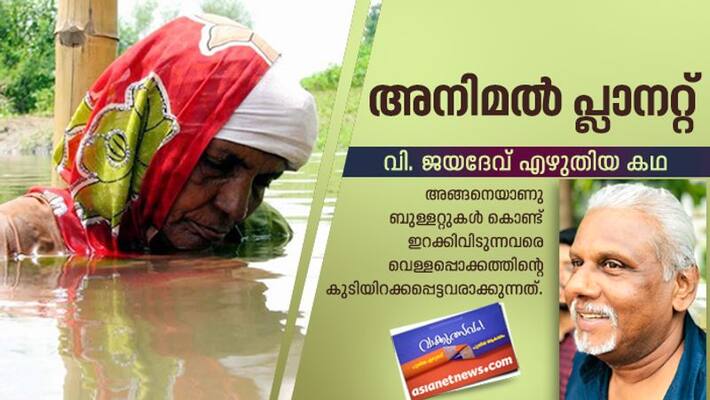 Literature festival short story by V Jayadev Literature festival short story by V Jayadev