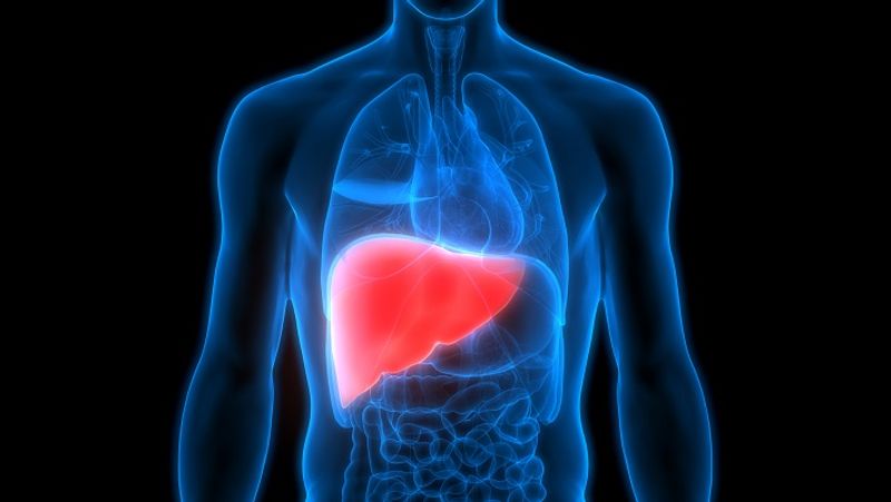 Know All About This Condition fatty liver