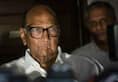 Sharad Pawar taunt on Rahul Gandhi, why he should stay in the country
