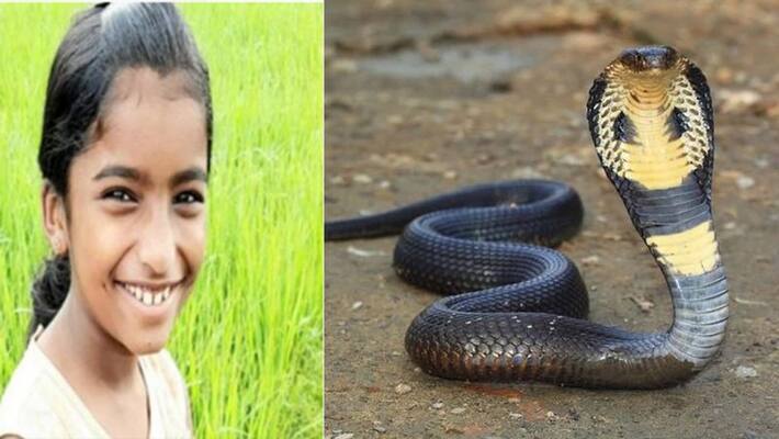Shehla Sherin death fallout: New strip to identify snake venom, treatment set for a change Shehla Sherin death fallout: New strip to identify snake venom, treatment set for a change