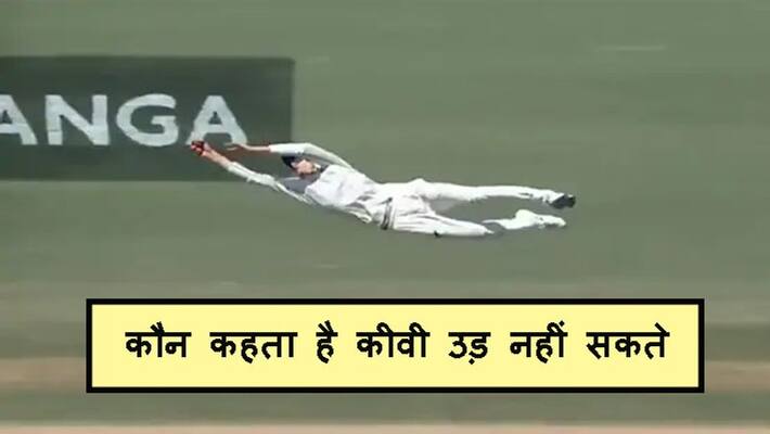 New Zealand all-rounder dived into the air, caught a brilliant catch New Zealand all-rounder dived into the air, caught a brilliant catch