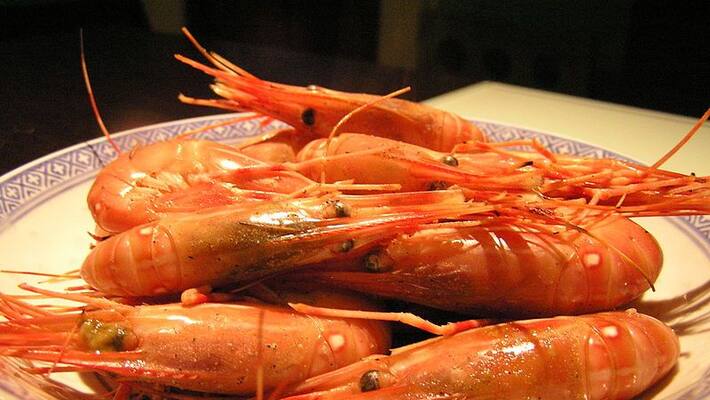 These are the 5 weirdest food in the world These are the 5 weirdest food in the world