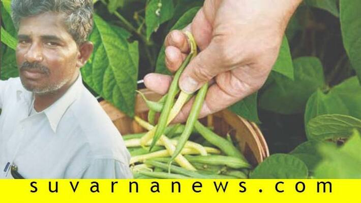 Farmer from bellary Beans profit story Farmer from bellary Beans profit story