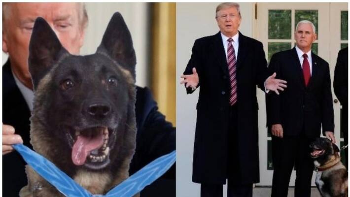 donald trump give award and certificate for conan a military dog donald trump give award and certificate for conan a military dog