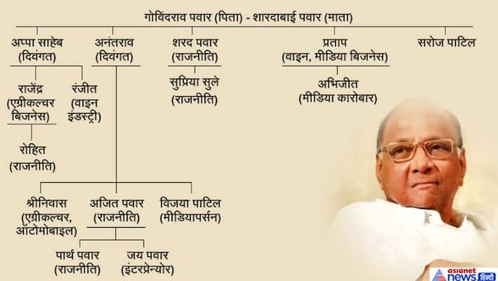 Clashes between Ajit pawar and Sharad pawar, boath of them have been fighting for power Clashes between Ajit pawar and Sharad pawar, boath of them have been fighting for power