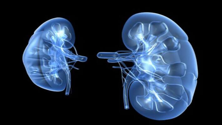 new twist in hyderabad kidney rocket new twist in hyderabad kidney rocket