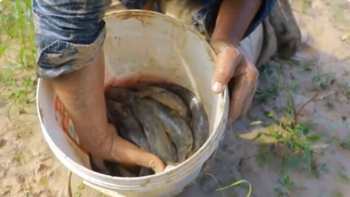 Fish caught in a different method video goes viral on social media Fish caught in a different method video goes viral on social media