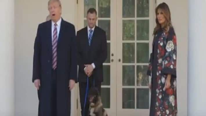 Trump Honors Hero Fog Conan Who Chased ISIS Dead Chief Baghdadi Trump Honors Hero Fog Conan Who Chased ISIS Dead Chief Baghdadi