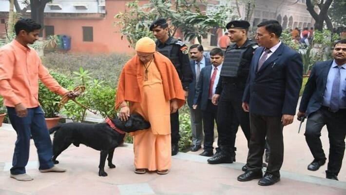 UP CM Yogi Adityanath s Pet Dog Kalu Has Become the Internet Sensation UP CM Yogi Adityanath s Pet Dog Kalu Has Become the Internet Sensation