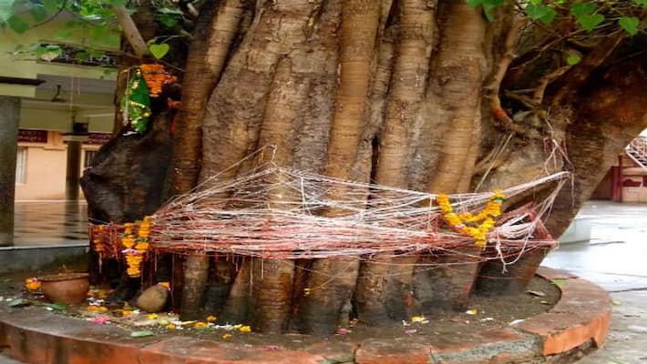 Now the matter of another temple reached the court, the said pictures were placed on the first platform Now the matter of another temple reached the court, the said pictures were placed on the first platform