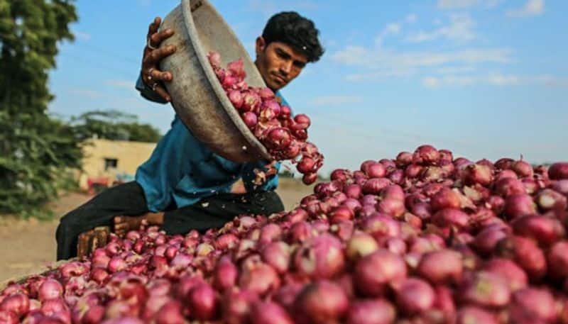 Government take important decision for onion prices, will the public get relief