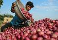 Government take important decision for onion prices, will the public get relief