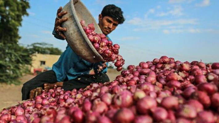 This Village in Bihar Dont care even if onions cost RS 500 This Village in Bihar Dont care even if onions cost RS 500