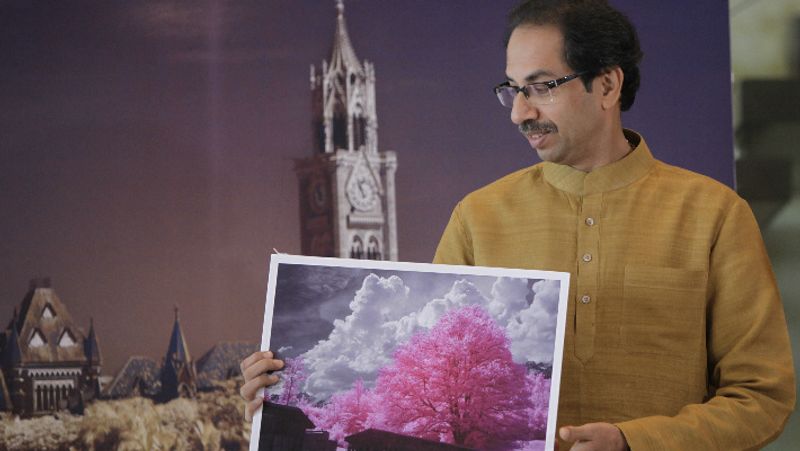 Uddhav is a professional photographer, for this hobby, he away from politics for 40 years