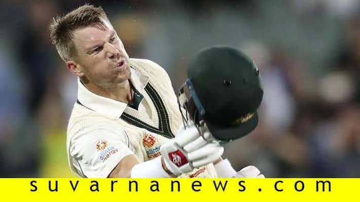 Pink Ball Test Australia declares after David Warner triple century Pink Ball Test Australia declares after David Warner triple century