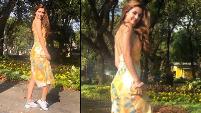 Disha patani Shared her Bikini Photos tiger Shroff mother and Sister shower love for Actress see Reaction