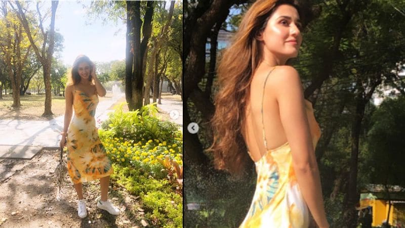 Disha patani Shared her Bikini Photos tiger Shroff mother and Sister shower love for Actress see Reaction