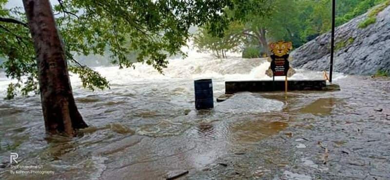 heavy flood in tamirabarani